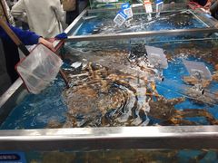 -盒马鲜生(大成店)