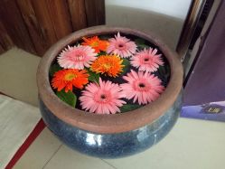 -琦品高端美容SPA私佳美场