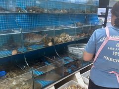 -宾朋海鲜特色美食餐厅·纯手工鲅鱼水饺(兴海路店)