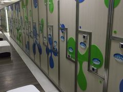 -南宫温泉水世界