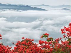 -瑞安圣井山景区