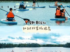 -大湾区中央湿地公园