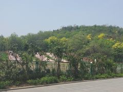 -南翠屏公园