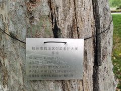 -金沙湖公园