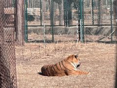 -秦皇岛野生动物园