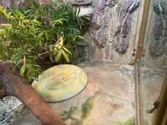 -上海大自然野生昆虫馆