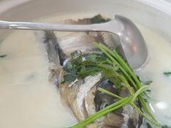 -紫藤园·天目湖大鱼头(南山竹海店)