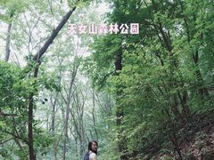 -天女山森林公园