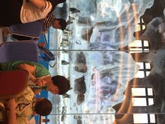 iphone_upload_pic-广东省拱北口岸中国旅行社(华宾营业部)