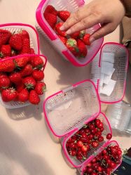 -蓝呗呗蓝莓草莓采摘园(通州区马驹桥店)