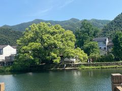 -鹿亭中村