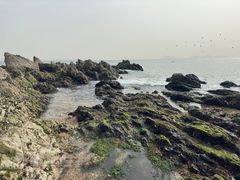 -棒棰岛宾馆景区