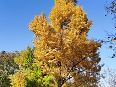 -国家植物园南园