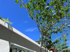 -大海别墅民宿农家院(十渡店)