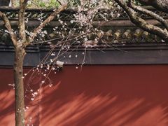 -钱王祠