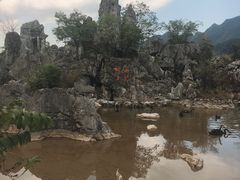 -千岛湖石林