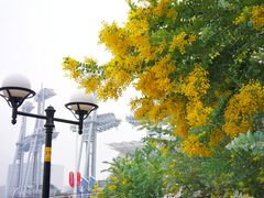 -海心沙亚运公园