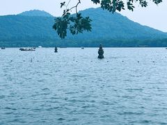 -西湖游船