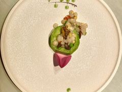 彩色水八珍-叶叶菩提·晋福宫