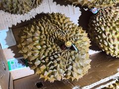 -麦德龙(湖里店)