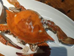 -即墨老公社·海肠捞饭大王(古城店)