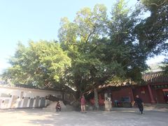-闽粤南澳总镇府