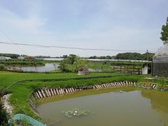 -美家乐农庄·露营·团建(大治路店)