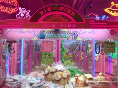 -BIG PINK大粉娃娃机主题馆(圆融星座店)