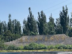 -永定河休闲森林公园