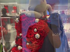 -ROSEONLY诺誓(国际广场购物中心店)