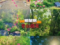 -东山码头