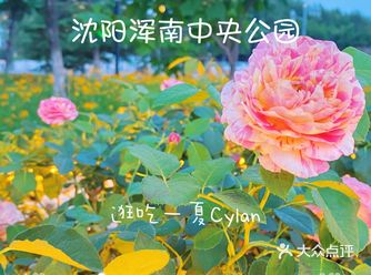 沈阳新晋绝美夜市,你还没去过?