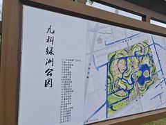 -九科绿洲