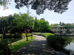 -晓港公园
