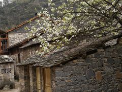-高荡千年布依古寨旅游景区