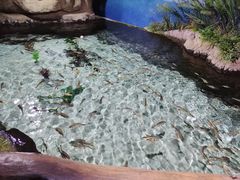-南昌海洋公园