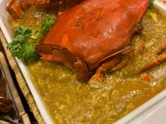 -茉莉.Red Crab