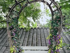 -丽江庭院·云南野生菌·海鲜火锅(鼓楼四合院店)