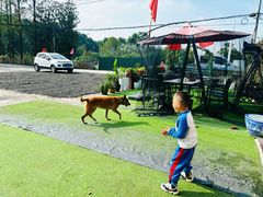 -桃苑居阳澄湖·蟹千恩(美人腿店)