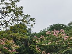 -中山公园(石岐街道)