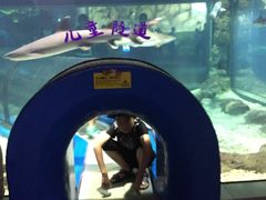 -福州罗源湾海洋世界旅游区