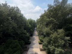 -灵谷景区