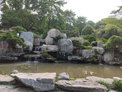 -东莞植物园