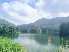 -广州市石门国家森林公园