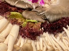 -南门四季铜锅涮肉(大屯·北苑店)