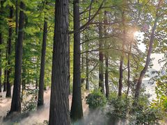 -东湖落雁景区