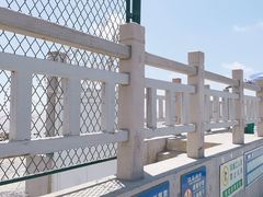 -南汇新城海滩