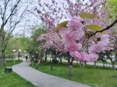 -江南大学(蠡湖校区)