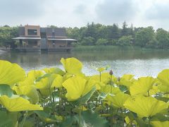-上海怡沁园度假酒店