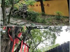 -灵谷景区